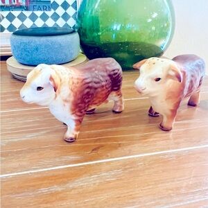 Ceramic Bison Salt &Pepper Shakers